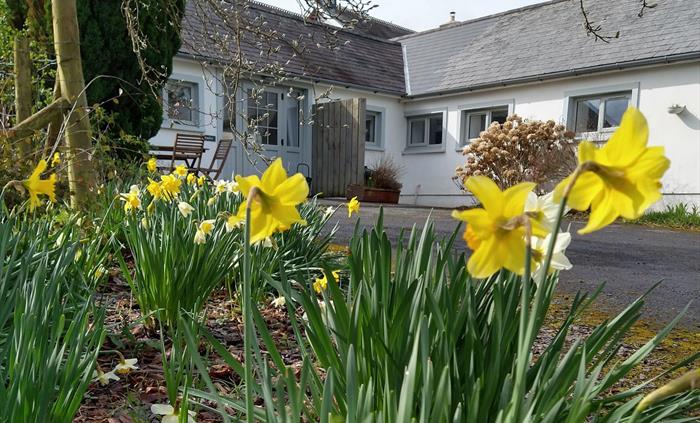 Perfect for families, offering WiFi, access to a shared games room, off road parking, dark skies and equipped with modern amenities. A charming, sin
